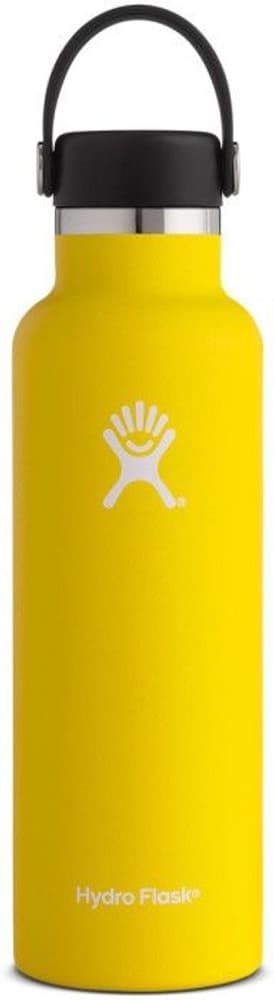 HydroFlask Standard Mouth Flex 621 ml Lemon, view: 0