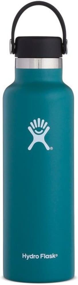 HydroFlask Standard Mouth Flex 621 ml Jade, view: 0