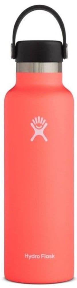 Insulated Standard Mouth Flex 621 ml Hibiskus, view: 0