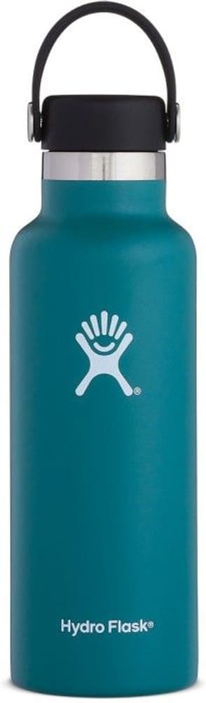 HydroFlask Standard Mouth Flex 532 ml Jade, view: 0