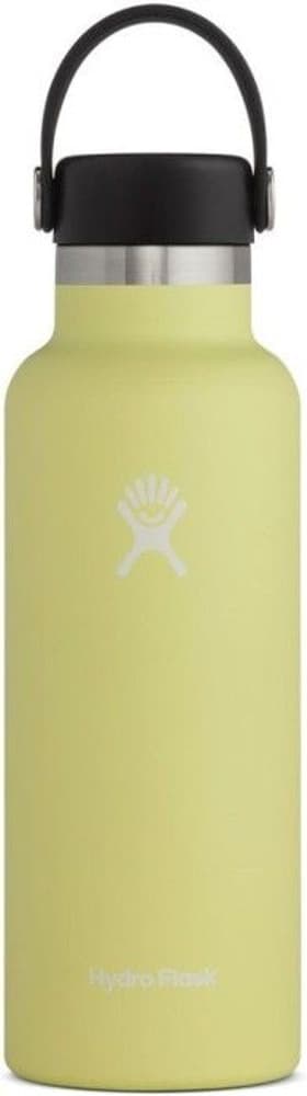 HydroFlask Insulated Standard Mouth Flex 532 ml Pinapple, view: 0