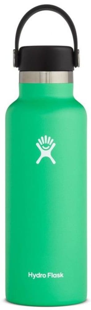 Insulated Standard Mouth Flex 532 ml Spearmint, view: 0