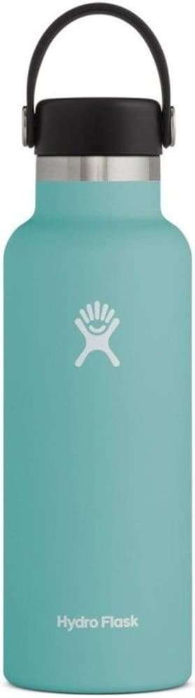 Insulated Standard Mouth Flex 532 ml Alpine, view: 0