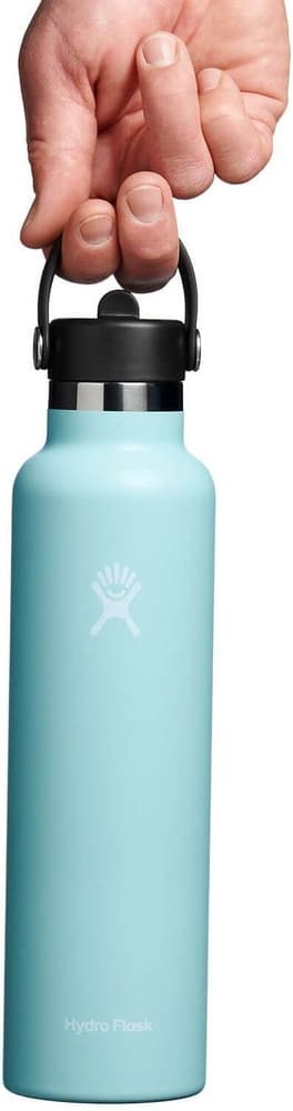 Hydroflask Std Flex Straw 21oz (621ml) Dew, view: 1