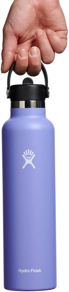 Std Flex Straw 21oz (621ml) Lupine, view: 1