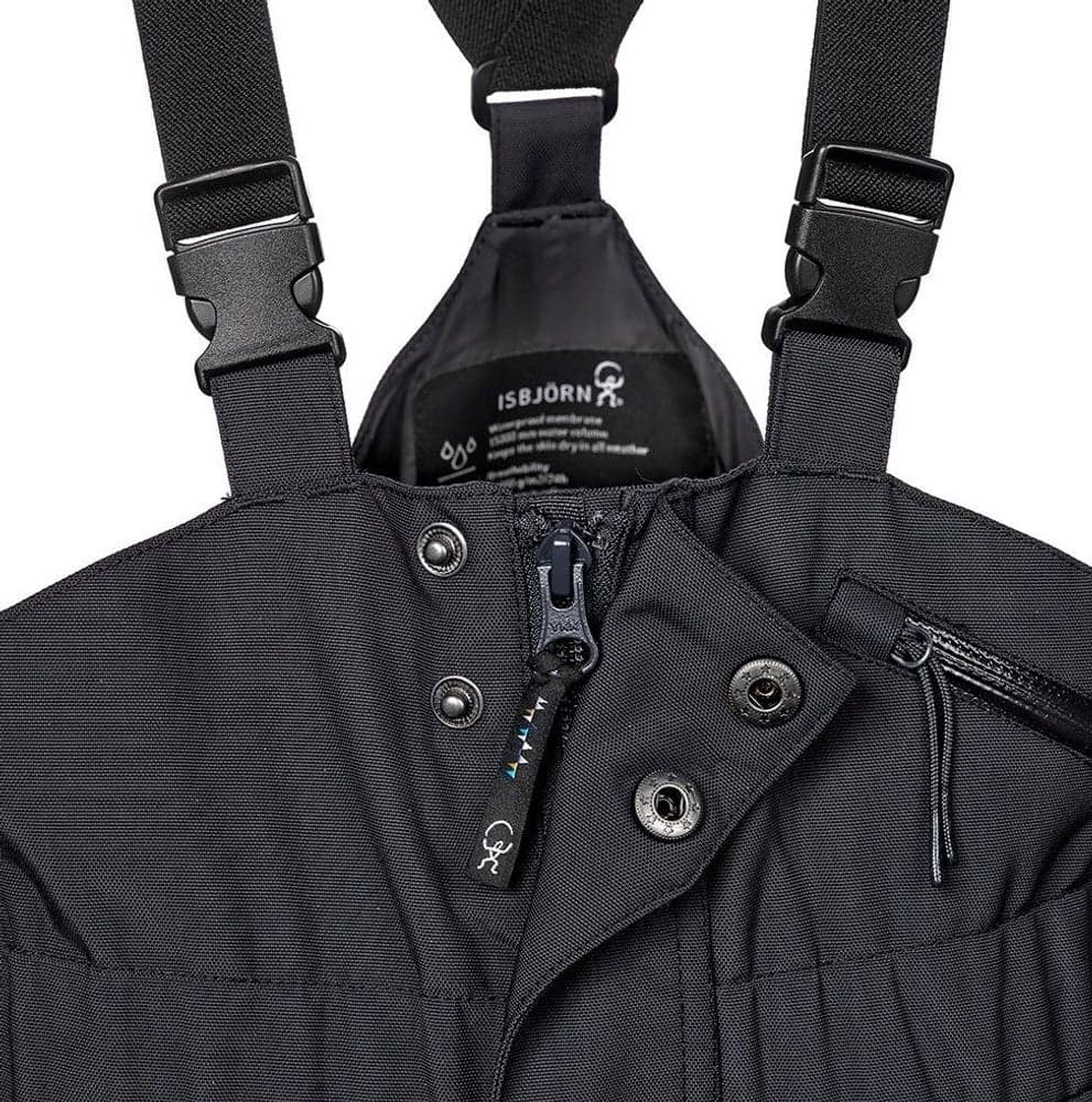 Powder Winter Pant Black, view: 2