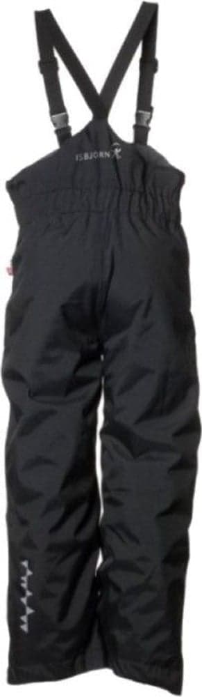 Powder Winter Pant Teens Black, view: 1