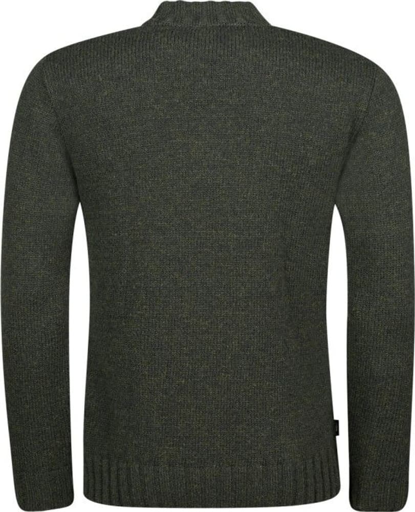 Herr Troyer Grön, view: 2