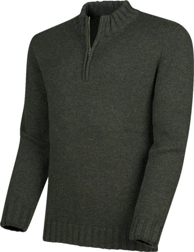 Herr Troyer Grön, view: 1