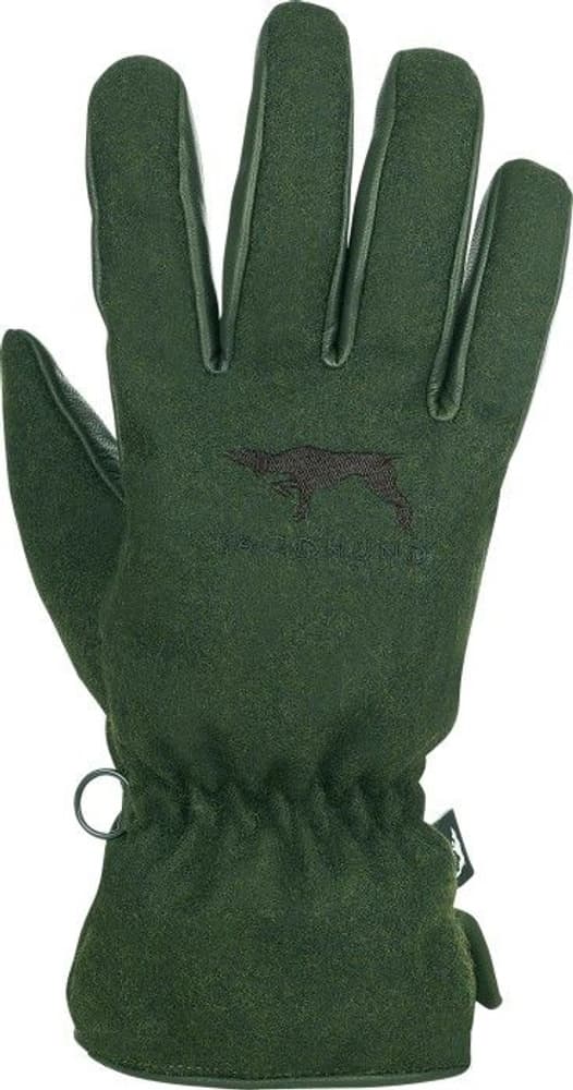 Hansker Saalfelden, view: 0