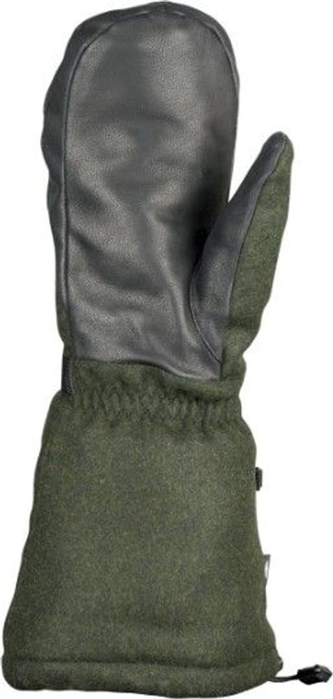 Mittens 2, view: 1