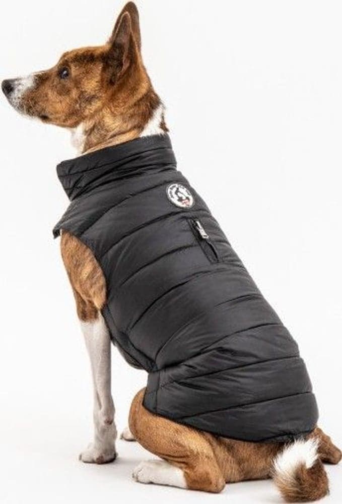 Hundedekken Black, view: 0