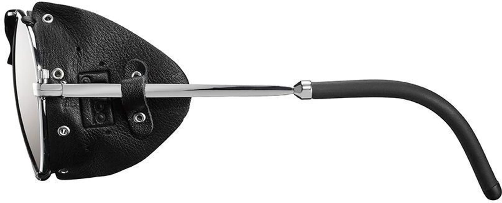 Cham Spectron 4 Silver/Black, view: 1