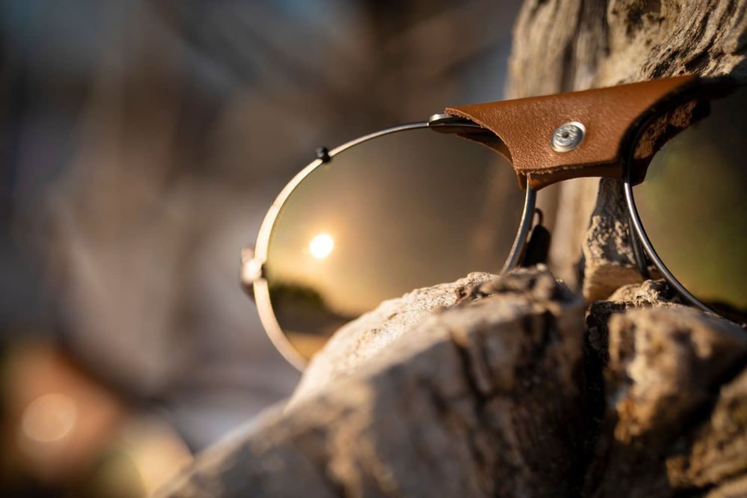 Cham Spectron 3 CF Brass/Havana, view: 4