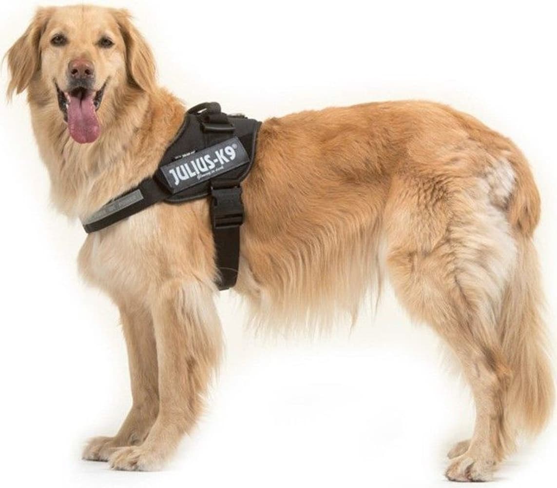 Julius-K9 IDC Powerharness Black XL, view: 1