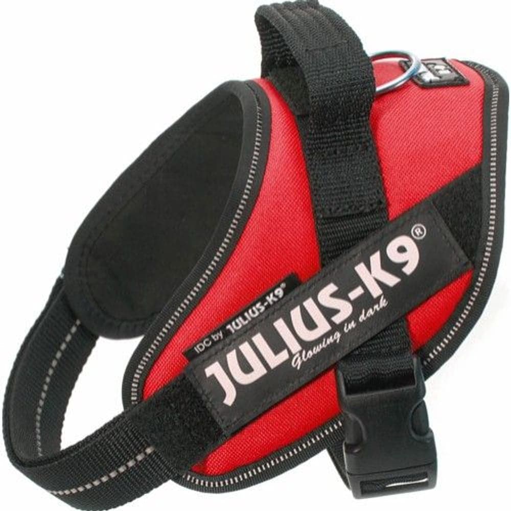 Julius-K9 IDC-Sele Mini flere farger, view: 4