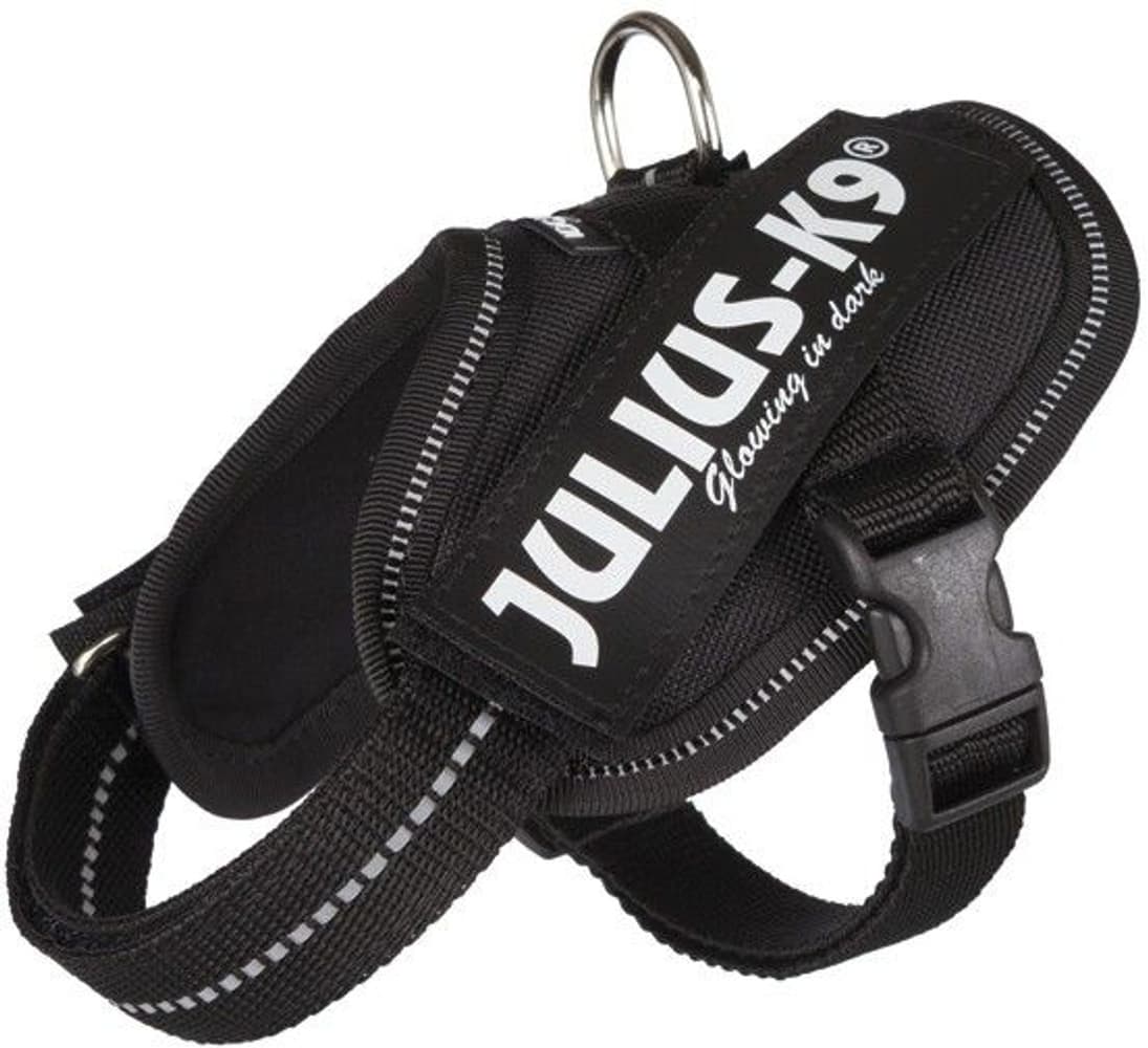 Julius-K9 IDC-Sele Baby 2 flere farger, view: 0