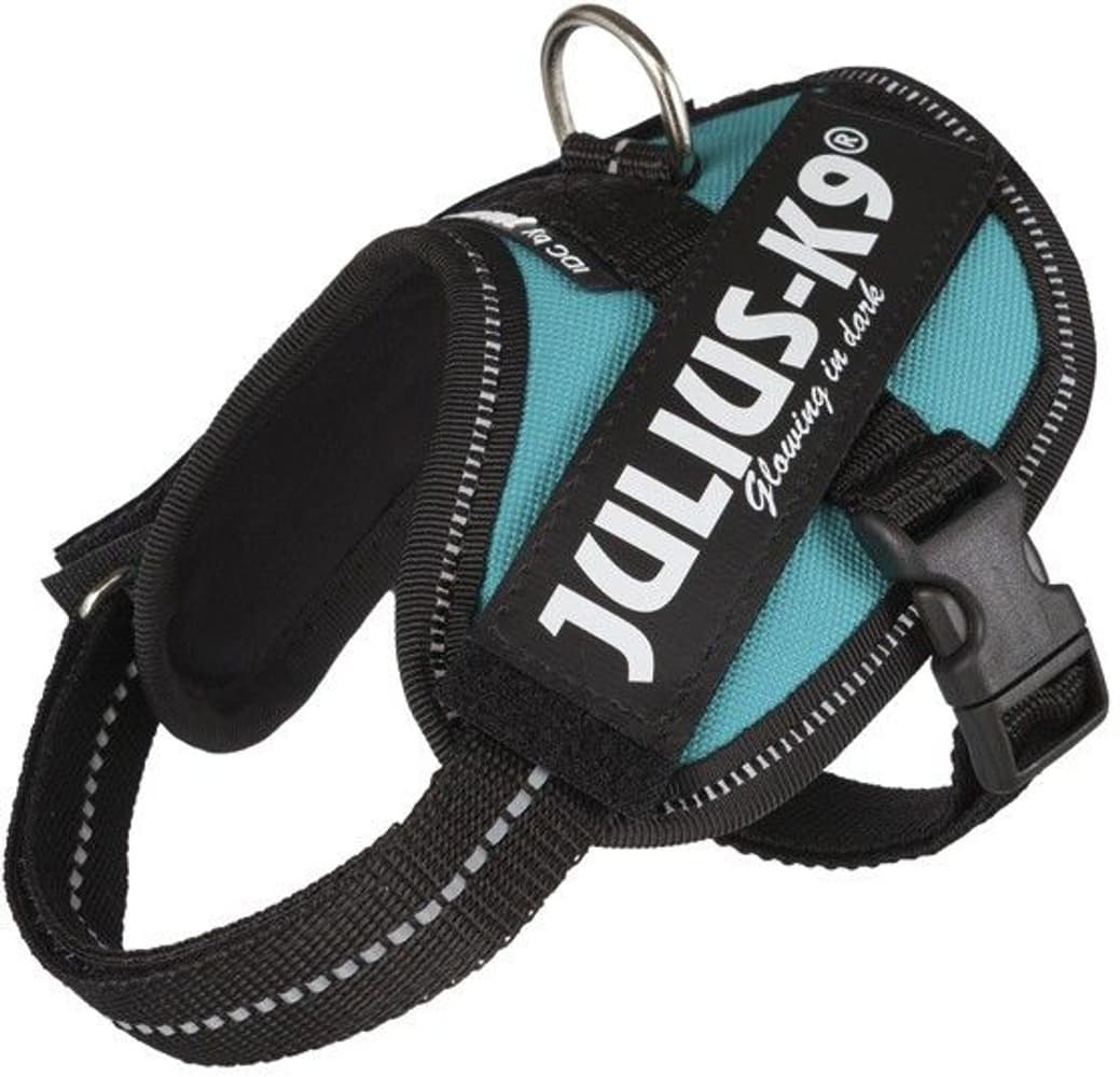Julius-K9 IDC-Sele Baby 2 flere farger, view: 3