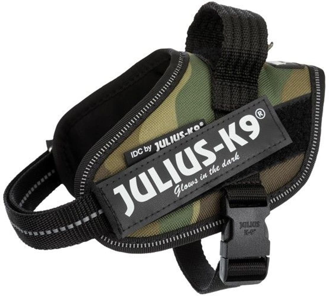 Julius-K9 IDC-Sele Baby 2 flere farger, view: 1
