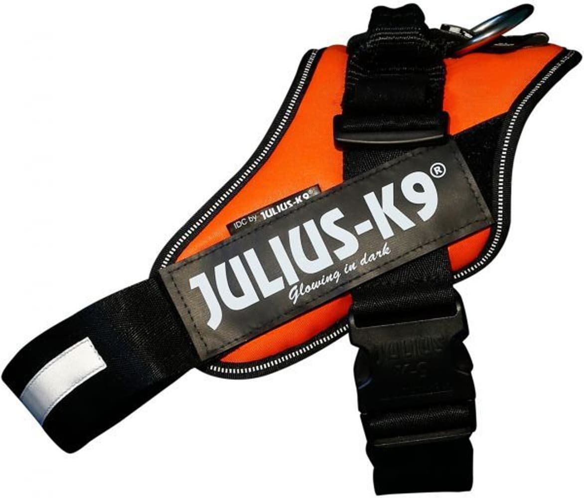 Julius-K9 IDC-Sele Baby 1 flere farger, view: 5