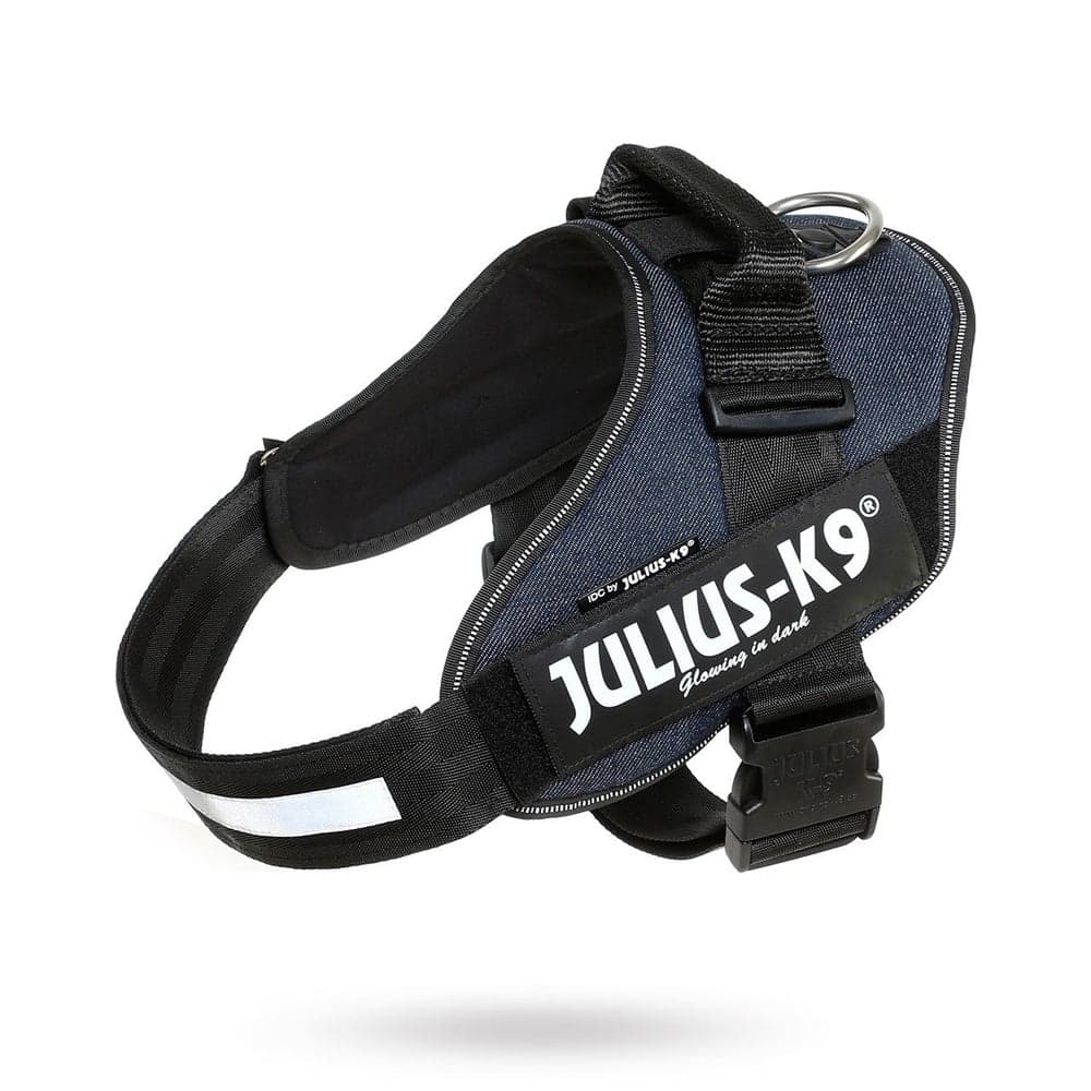 Julius-K9 IDC-Sele Baby 1 flere farger, view: 7