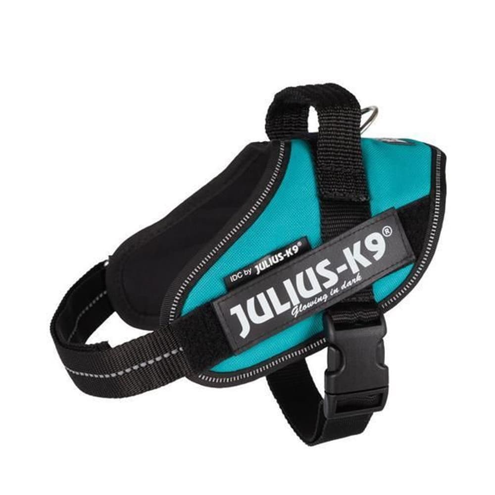 Julius-K9 IDC-Sele Baby 1 flere farger, view: 6