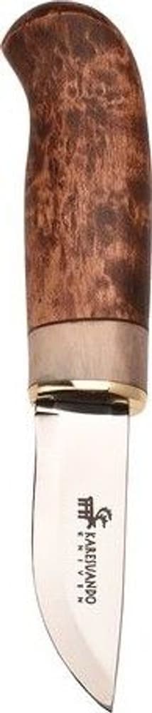 Karesuando Giron Brun, view: 0