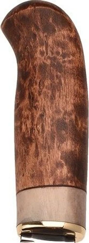 Karesuando Giron Brun, view: 2