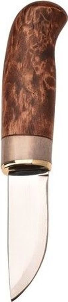 Karesuando Giron Brun, view: 1