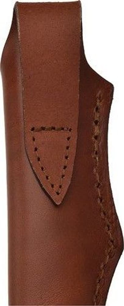 Karesuando Bukken Brun, view: 3