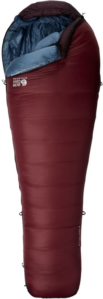 W's Bishop Pass -18C Long Dark Rosewood, view: 2