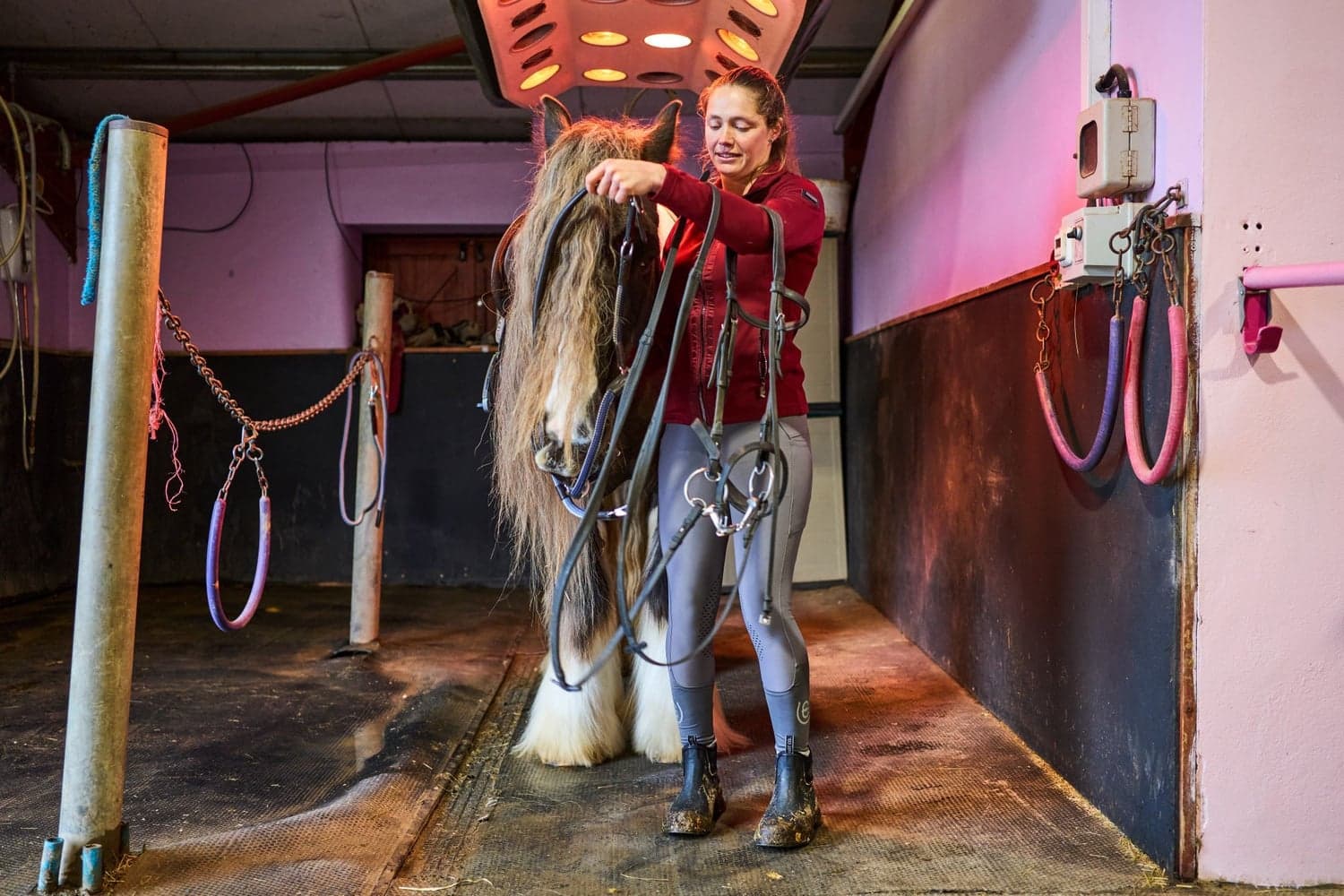 Wear Jodhpur Svart, view: 5