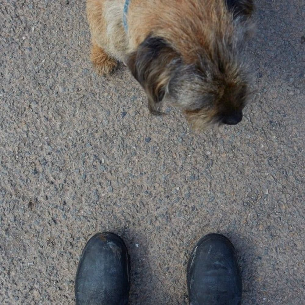 Excursion Ankle Unisex Svart, view: 7