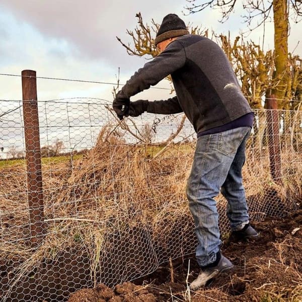 Woody Sport Ankle Black, view: 6