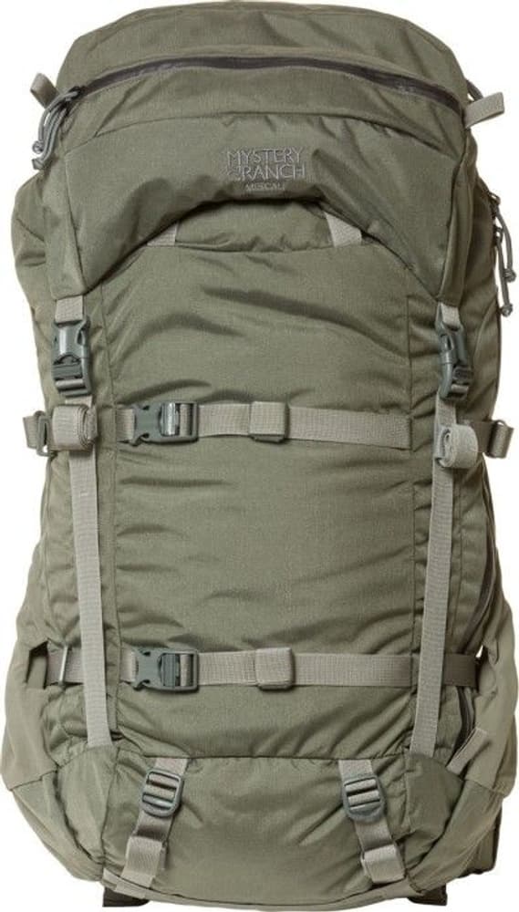 M's Metcalf 71 Foliage, view: 1