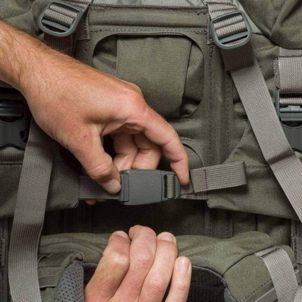 W's Metcalf 71 Foliage, view: 6