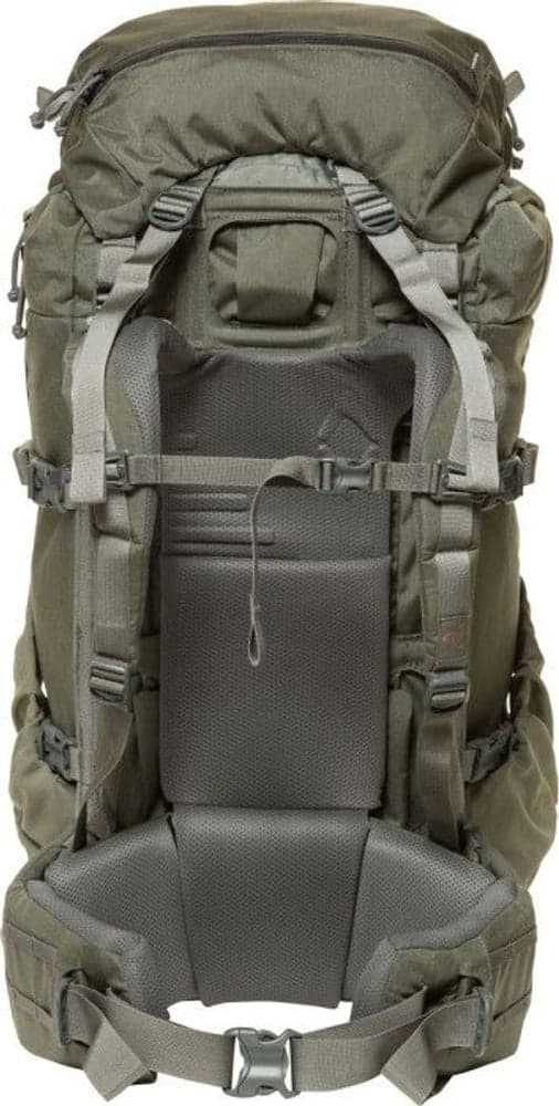 W's Metcalf 71 Foliage, view: 2