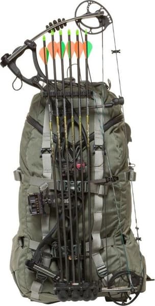 Pintler 41 Foliage, view: 3