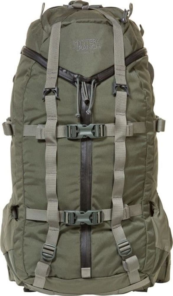 Pintler 41 Foliage, view: 2