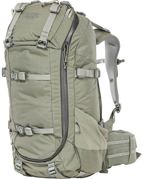 Sawtooth 45 Foilage, view: 0