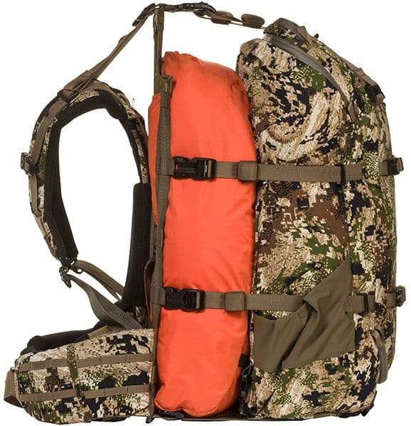 Sawtooth 45 Foilage, view: 5