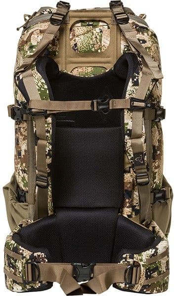 Sawtooth 45 Foilage, view: 1