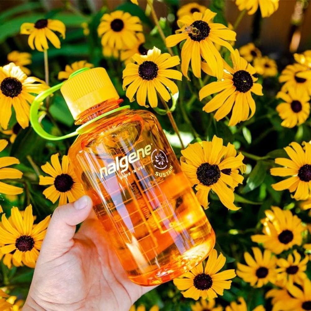 Bottle 0,5L Narrow Mouth Sustain Seafoam, view: 3