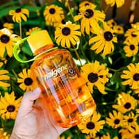 Bottle 0,5L Narrow Mouth Sustain Cotton - view: 3