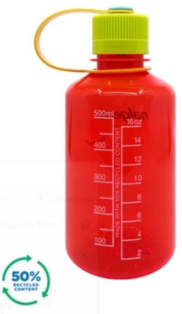 Bottle 0,5 l Narrow Mouth Sustain Pomegranate, view: 1