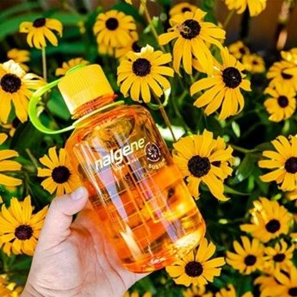 Bottle 0,5 l Narrow Mouth Sustain Cerulean, view: 2