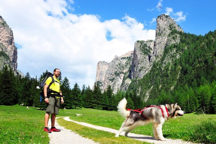 løpeline 2 m, view: 3