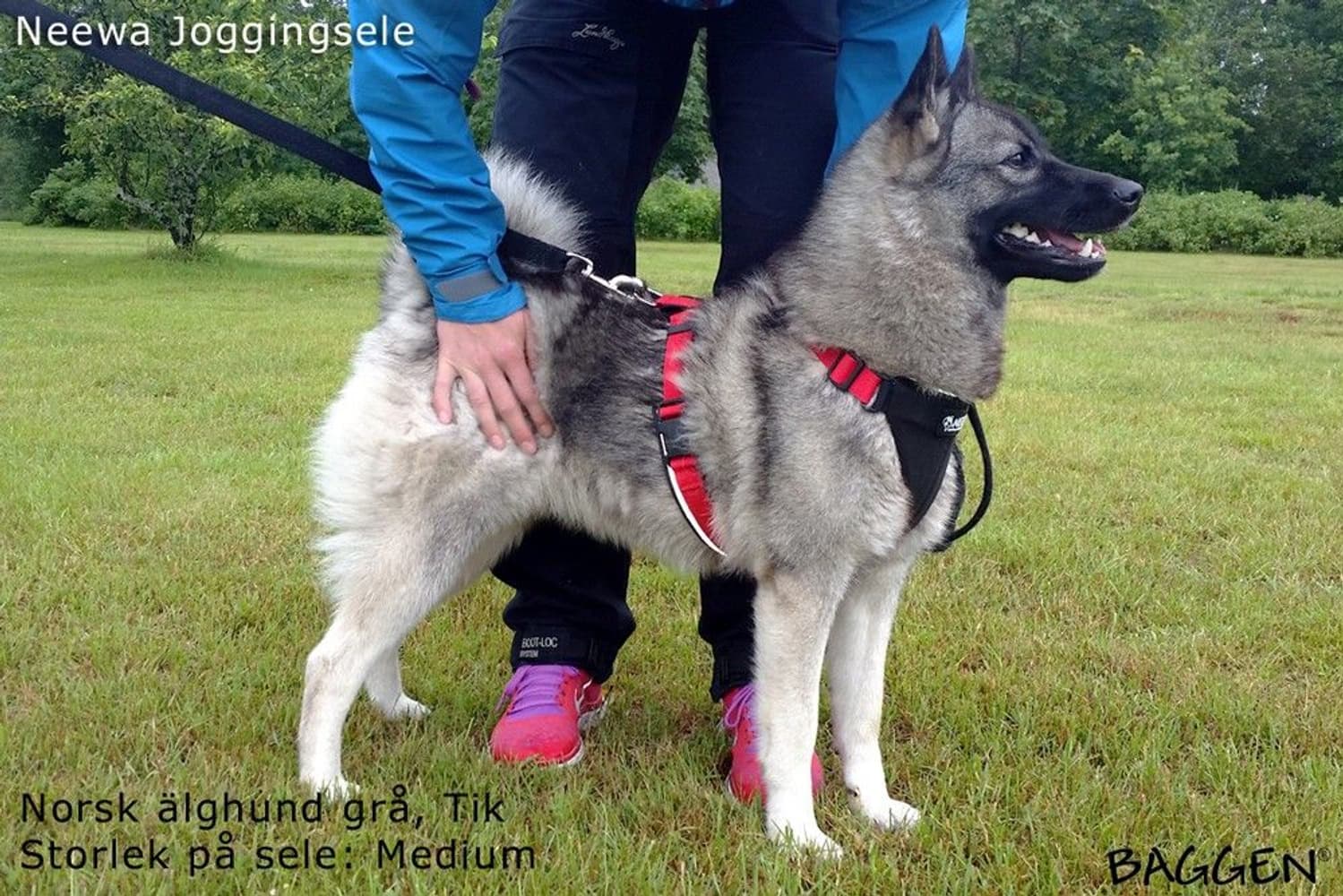 Joggingsele Svart, view: 9