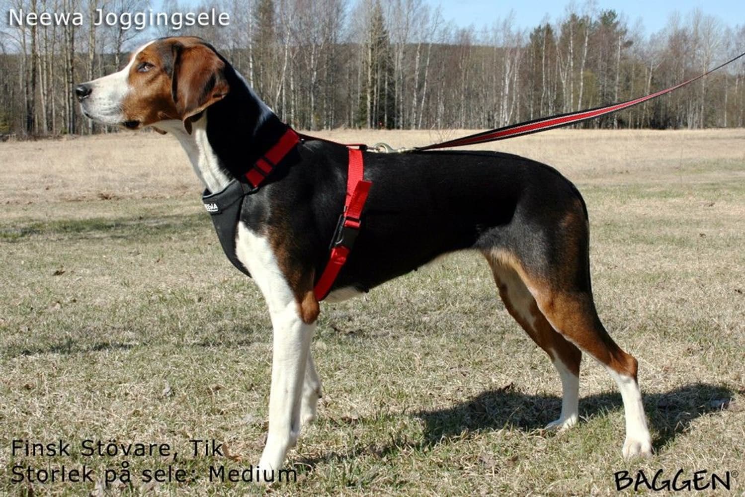 Joggingsele Svart, view: 11