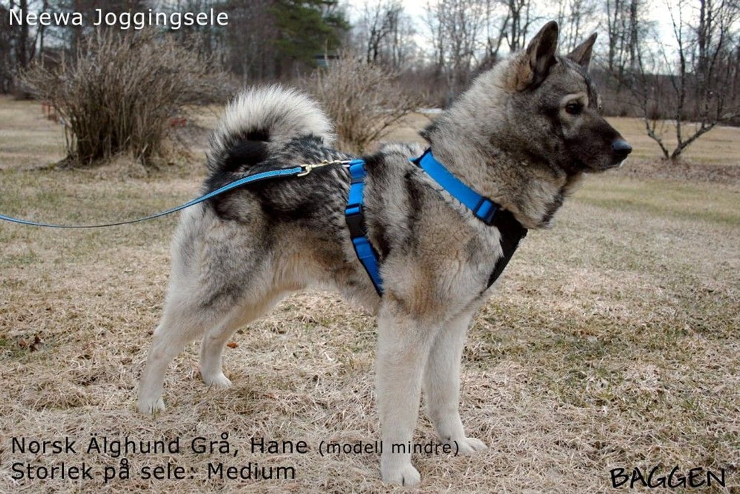 Joggingsele Svart, view: 8